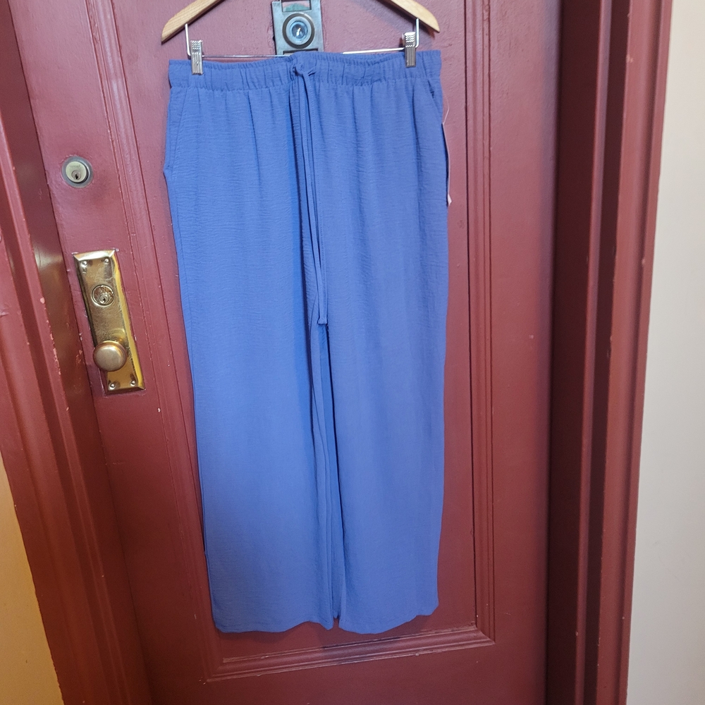 Just Be Ladies Indigo Relaxed Fit Pants Size 1X